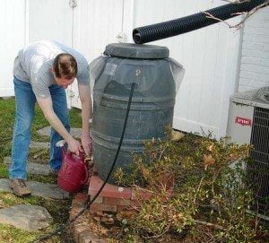 rainwater-harvesting-barrel