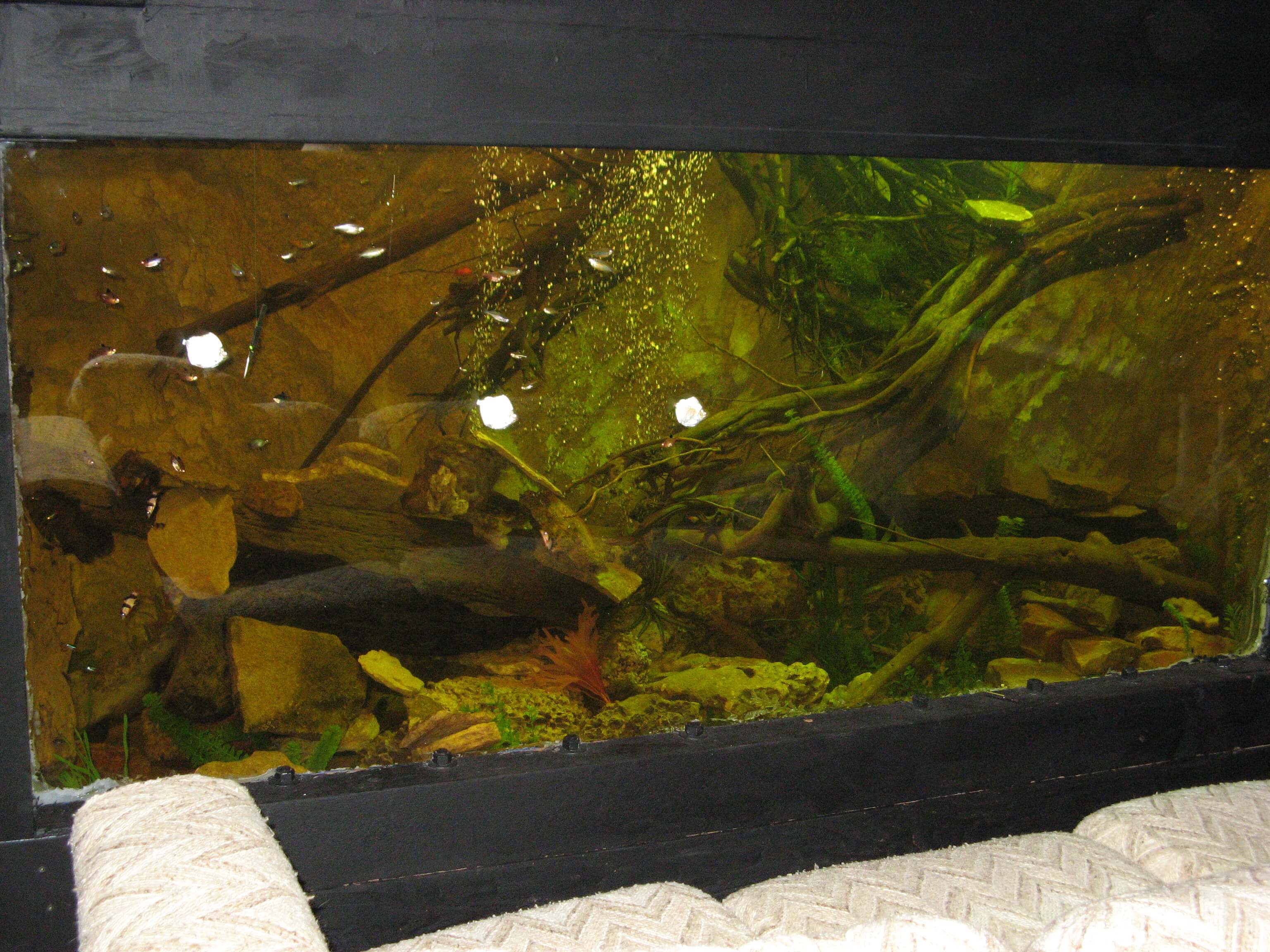 Waterproofing Plywood Aquarium & Fish Tank SANITRED