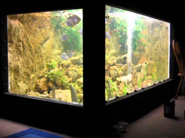 plywood fish tank