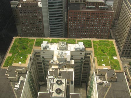 green-roof-city