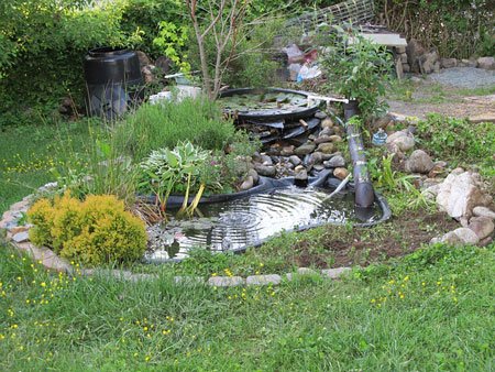 backyard-pond-diy