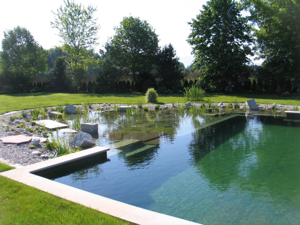 Natural pool after waterproofing