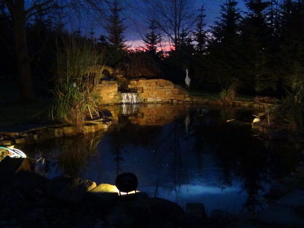 pond lights