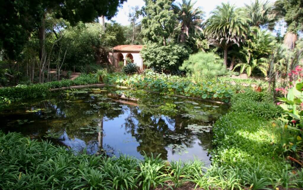 Pond in use after waterproofing using SaniTred waterproofing and repair products