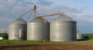 Several grain bin silows